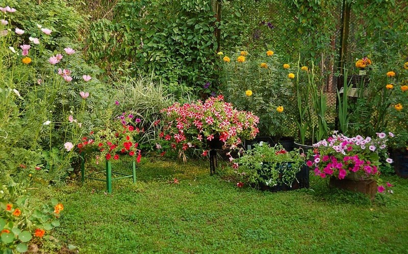 Entretien d'espaces verts Valréas