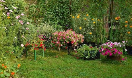 Entretien de jardin à Barbentane